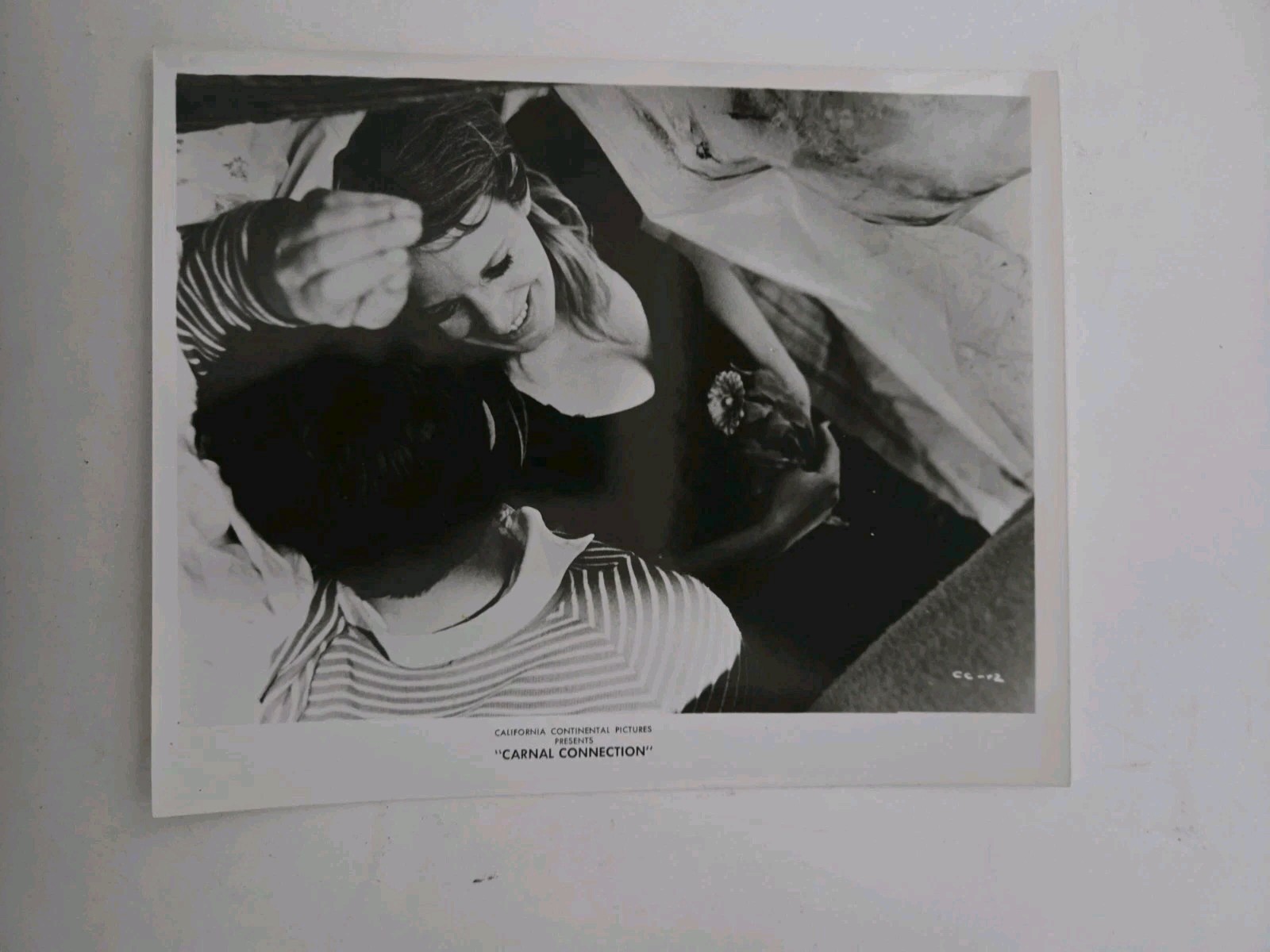 Carnal Connection Movie Photo Movie Still