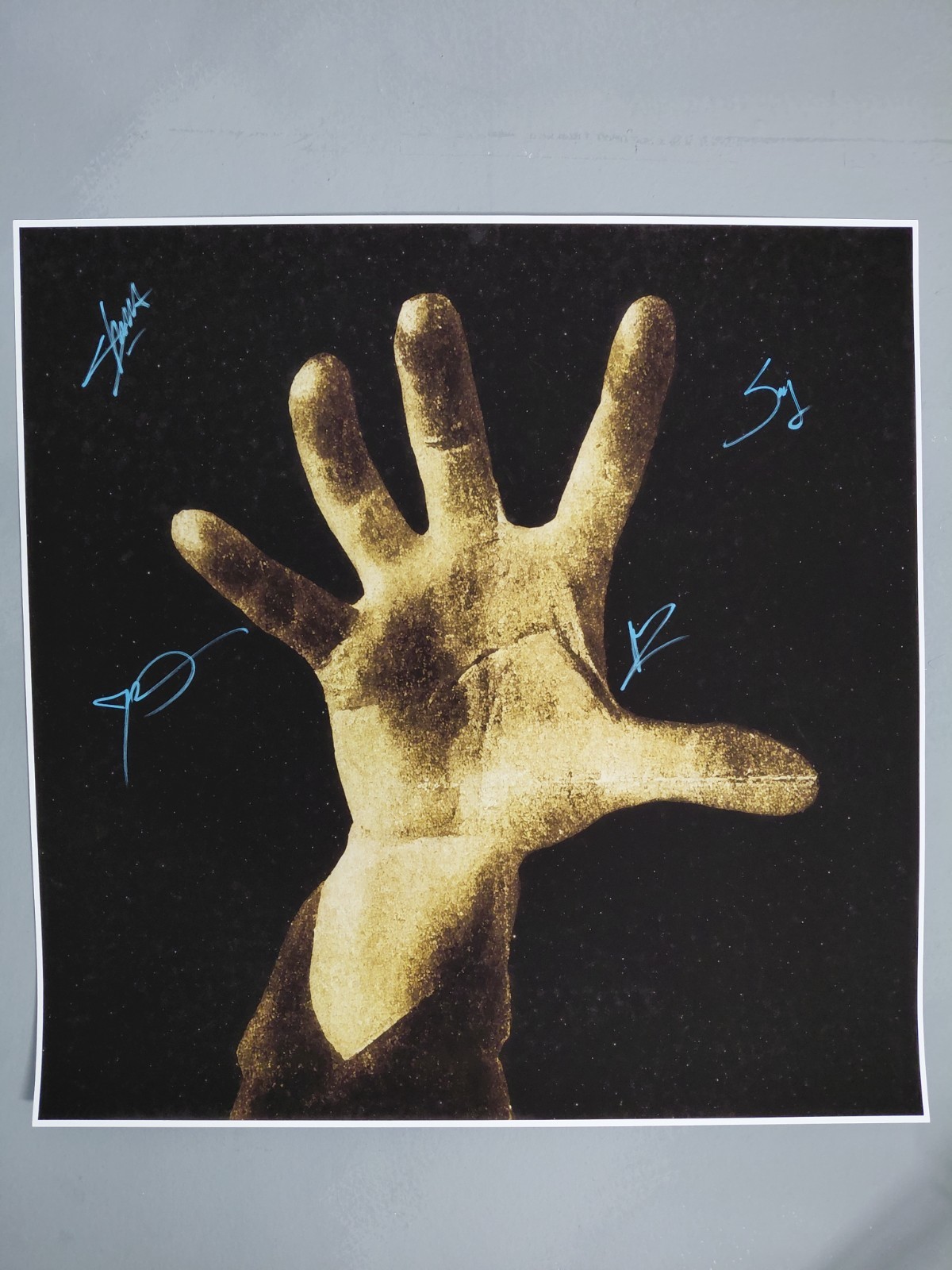 HUGE Signed System of a Down Store Poster LARGE 2×2 ft
