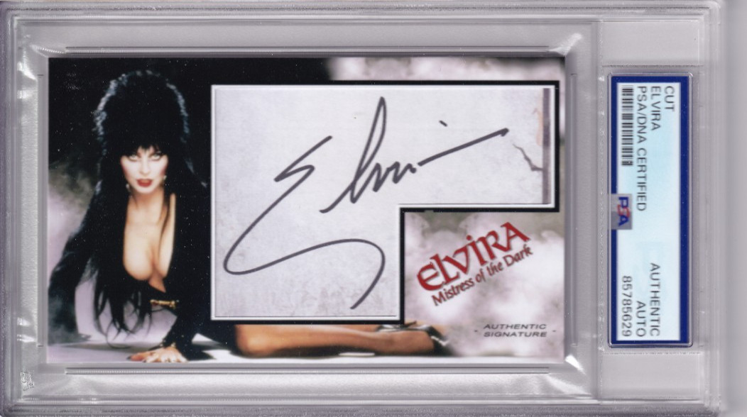 Elvira Cassandra Peterson Mistress of the Dark Signed Autograph card PSA DNA