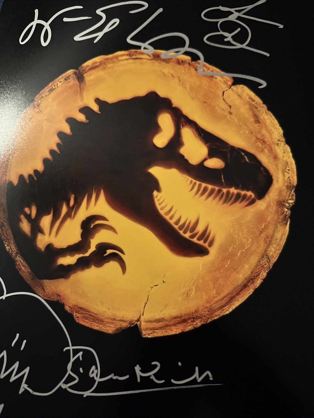 Laura Dern, Jeff Goldblum Sam Neill Jurassic World Signed Autographed 11×14