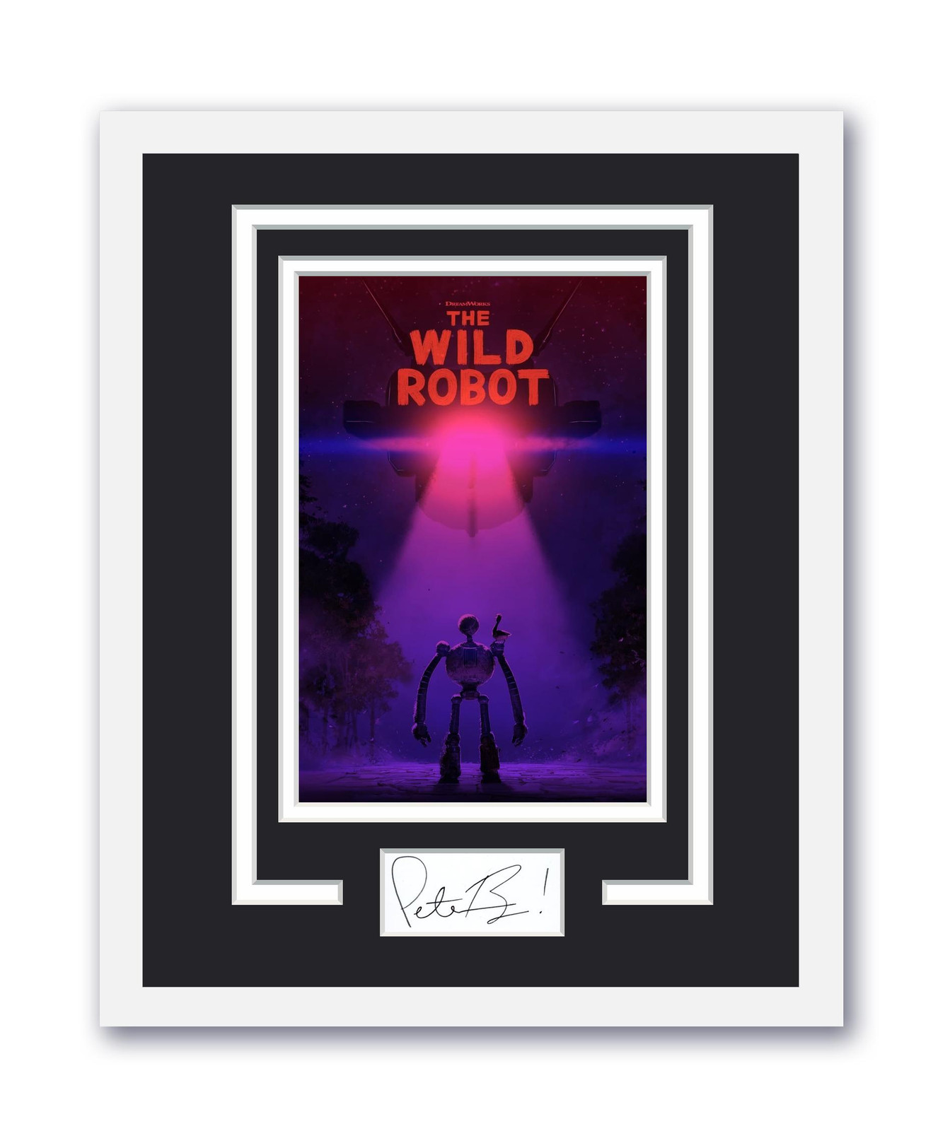 The Wild Robot Peter Brown Autographed Signed 11×14 Framed Photo ACOA