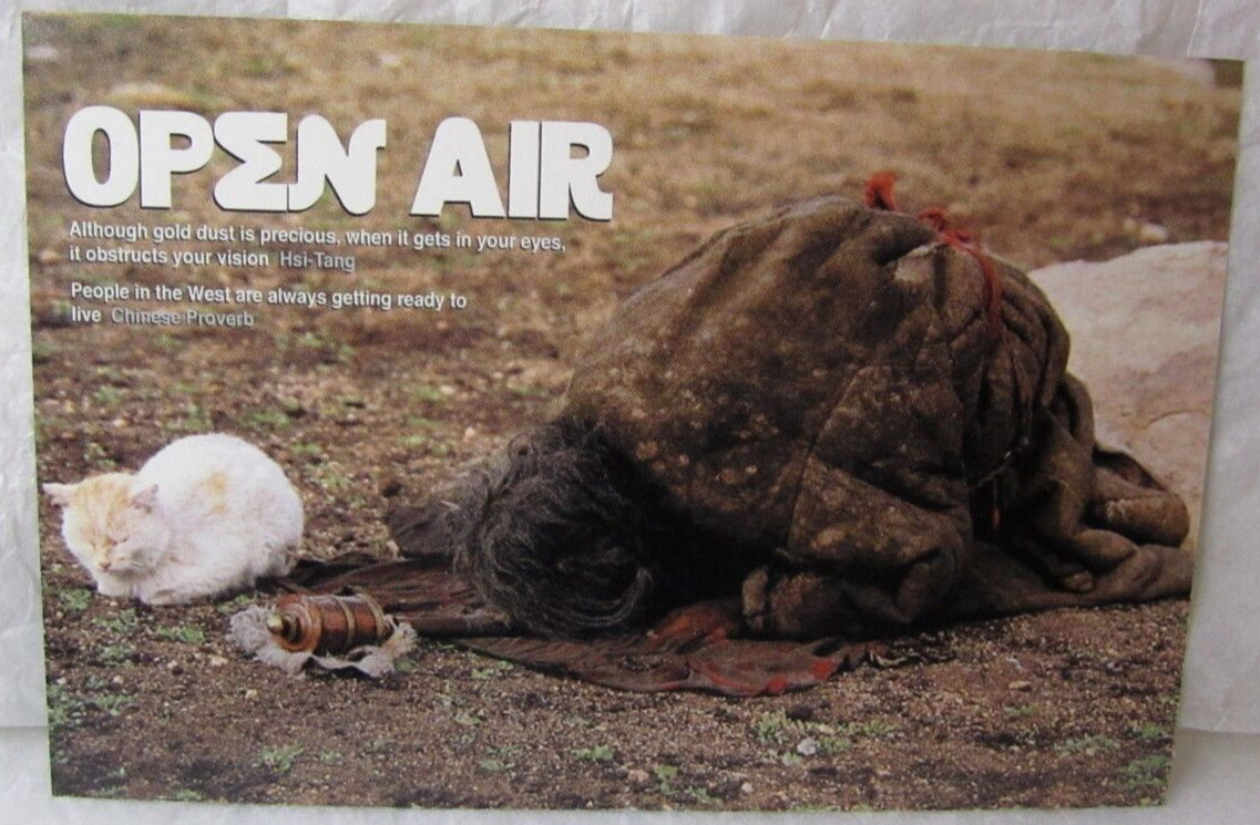 OPEN AIR RAVE FLYER NYC CLUB EAST VILLAGE LOUNGE ZEN ELECTRONIC AMBIENT EDM DJs