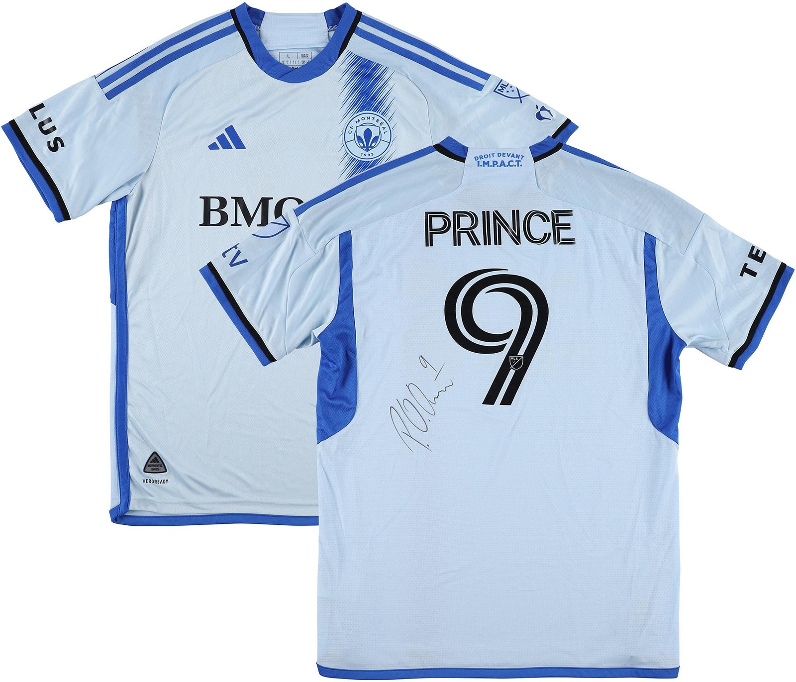 Prince (Musician) Miscellaneous Memorabilia Fanatics Authentic COA Item#14498911