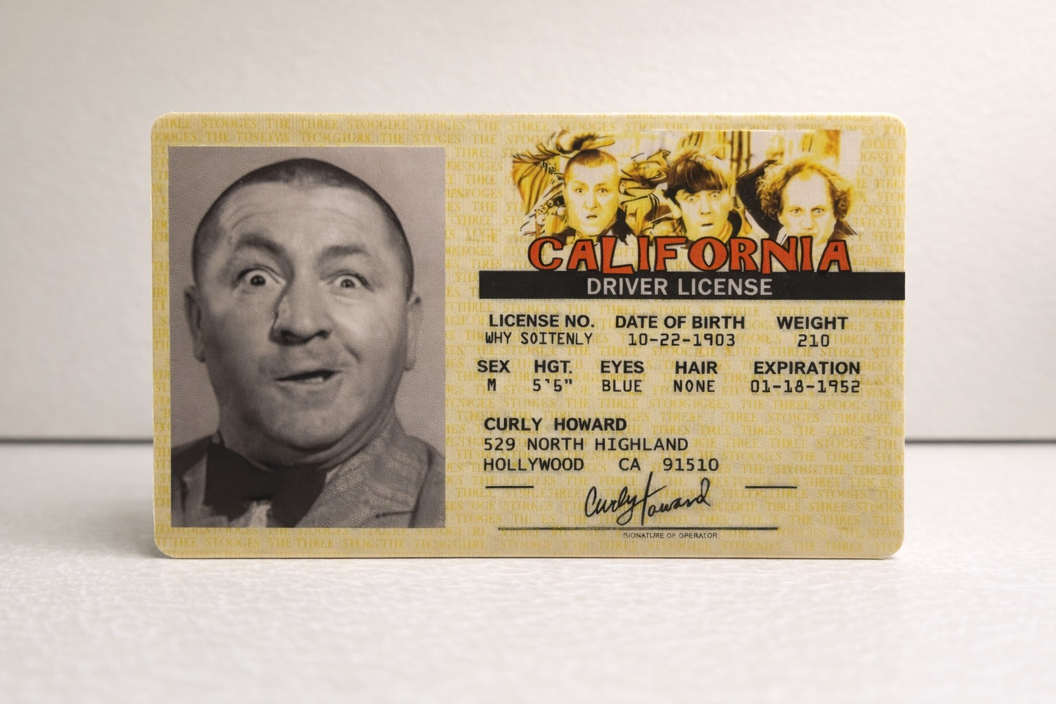 Curly Howard The Three Stooges Novelty ID Driver’s License