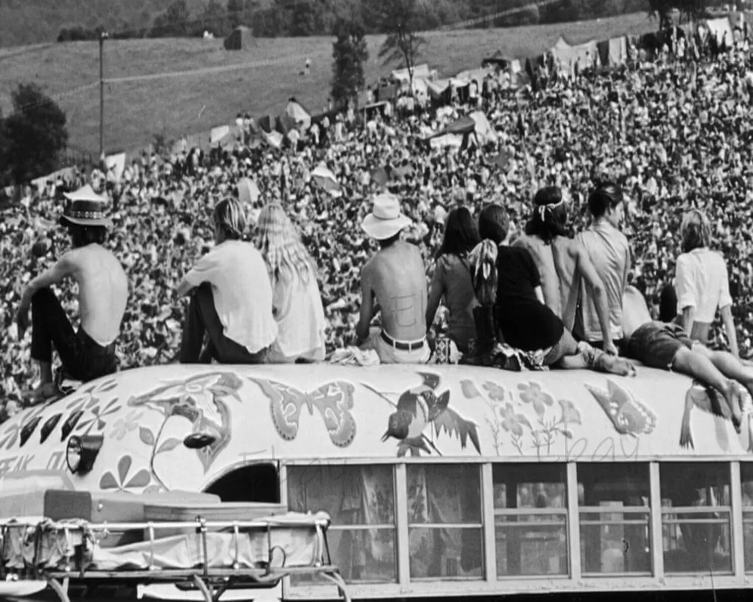 Woodstock August 15 18 1969 4×6 Picture Celebrity Print