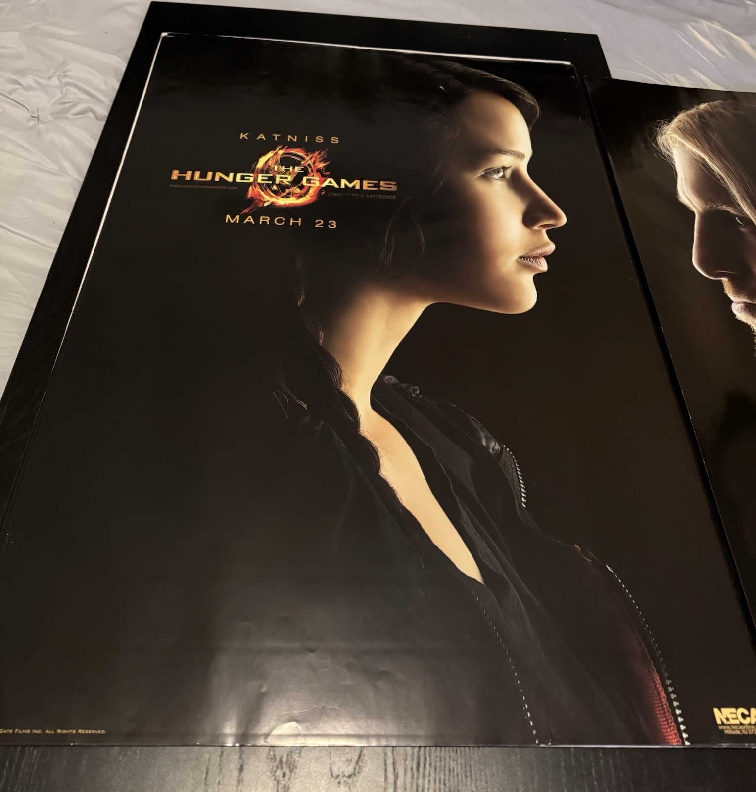 Hunger Games CHARACTER Posters – NECA LIMITED EDITION/2500 – Complete Set of 8!