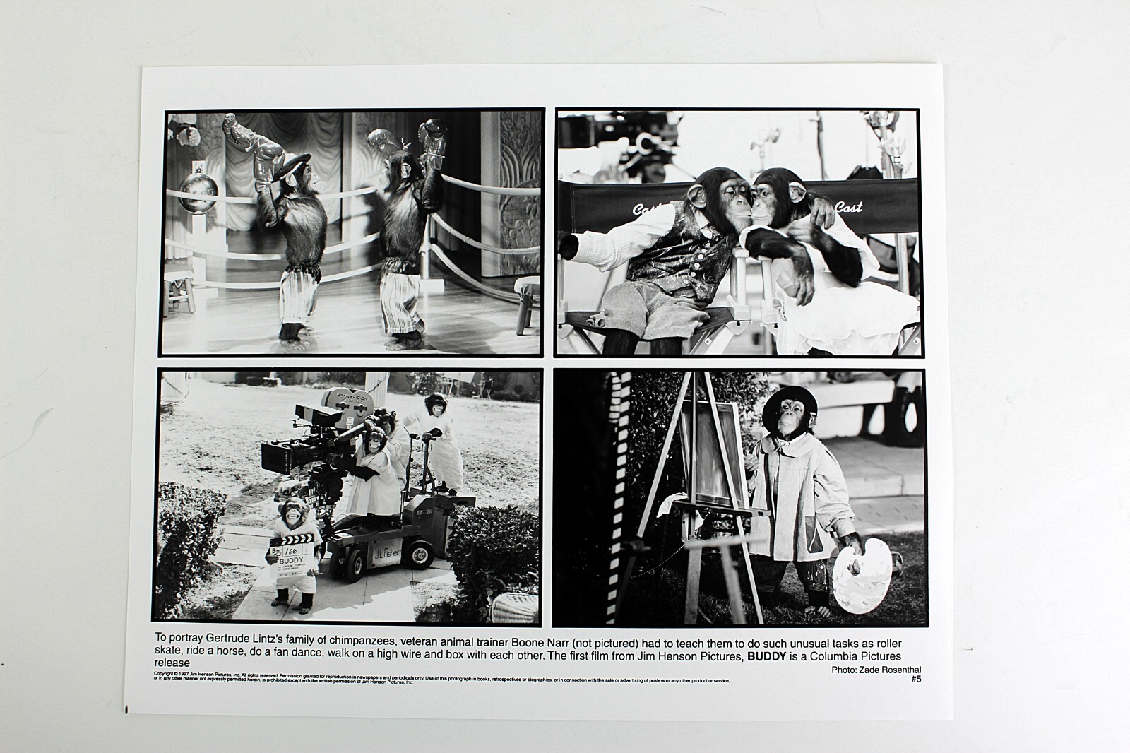 1997 BUDDY Movie Promo Press Photo 8×10 b/w #5