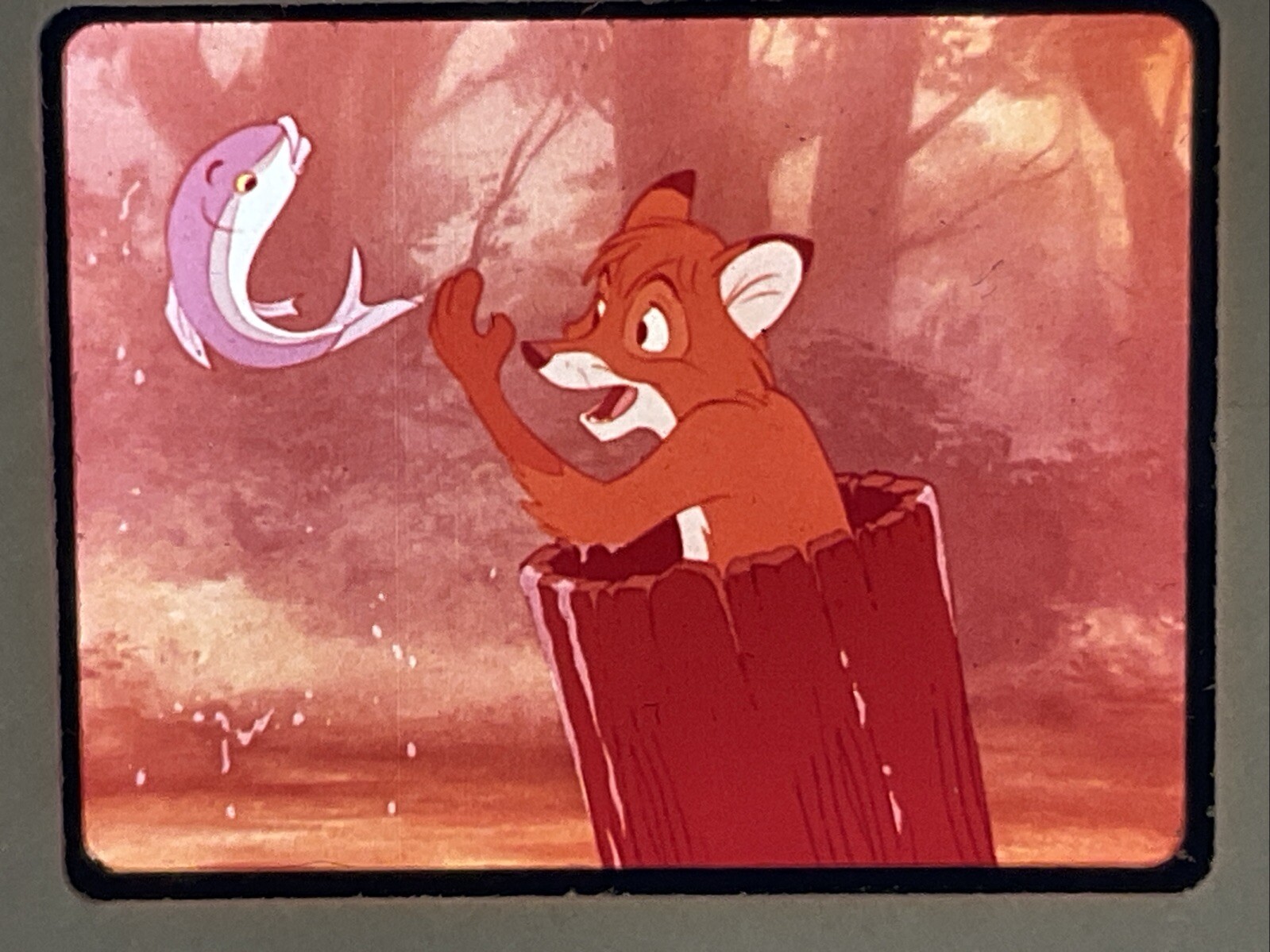 The Fox And The Hound Walt Disney Original Film Still Transparency Slide