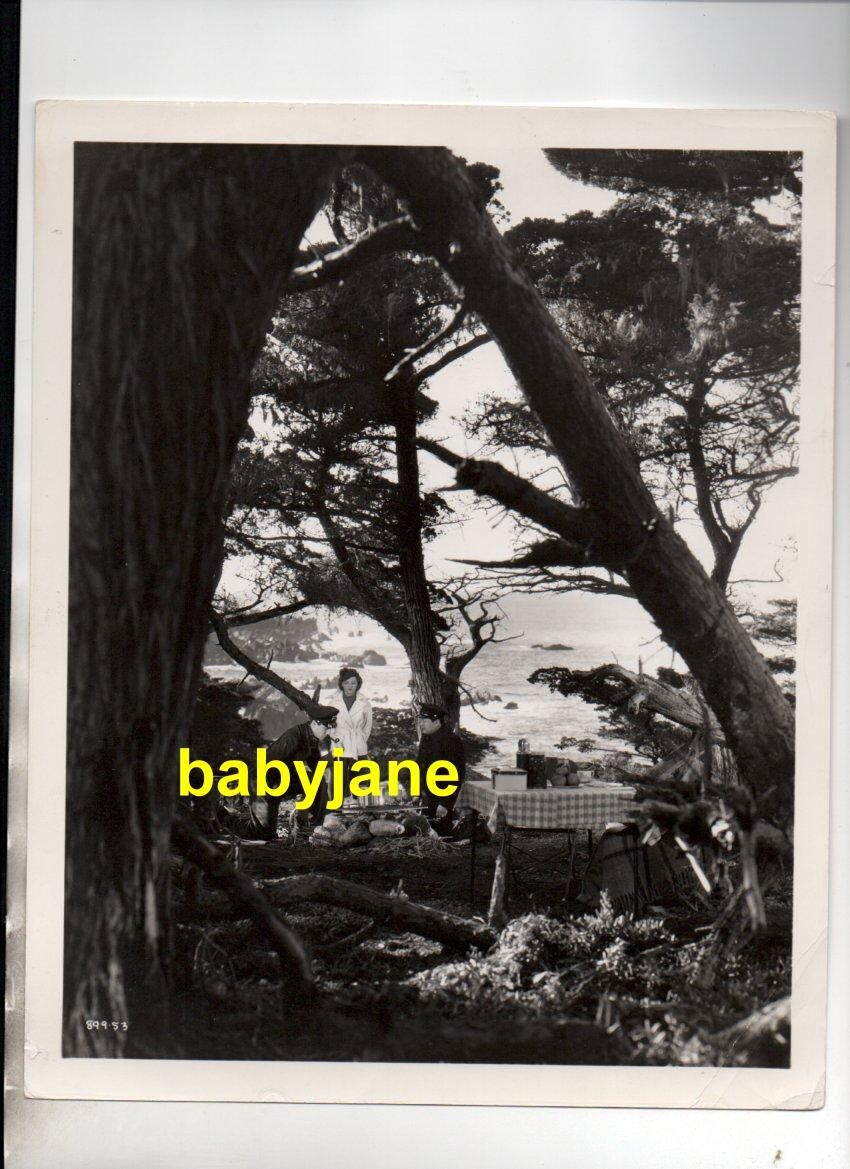 ROBERT TAYLOR JANET GAYNOR 8X10 PHOTO FILMED PEBBLE BEACH 1935 SMALL TOWN GIRL