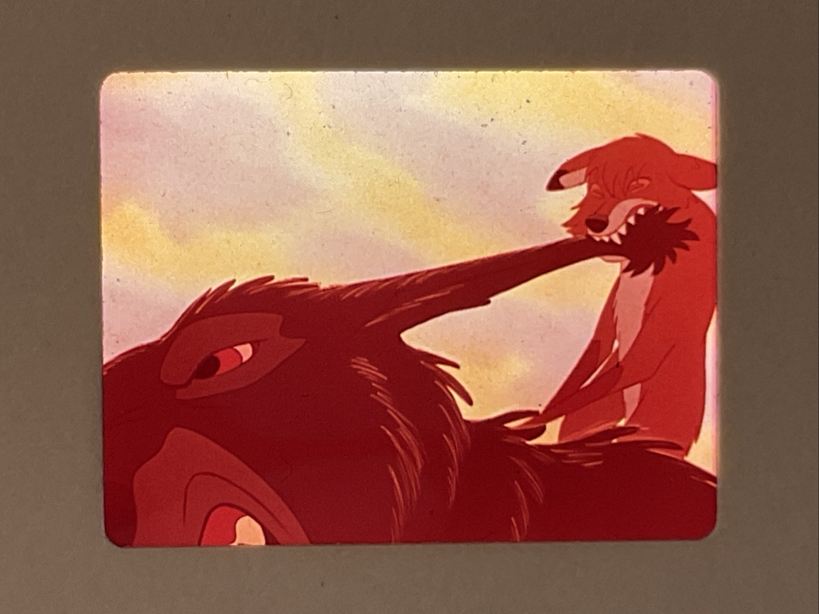 The Fox And The Hound Walt Disney Original Film Still Transparency Slide