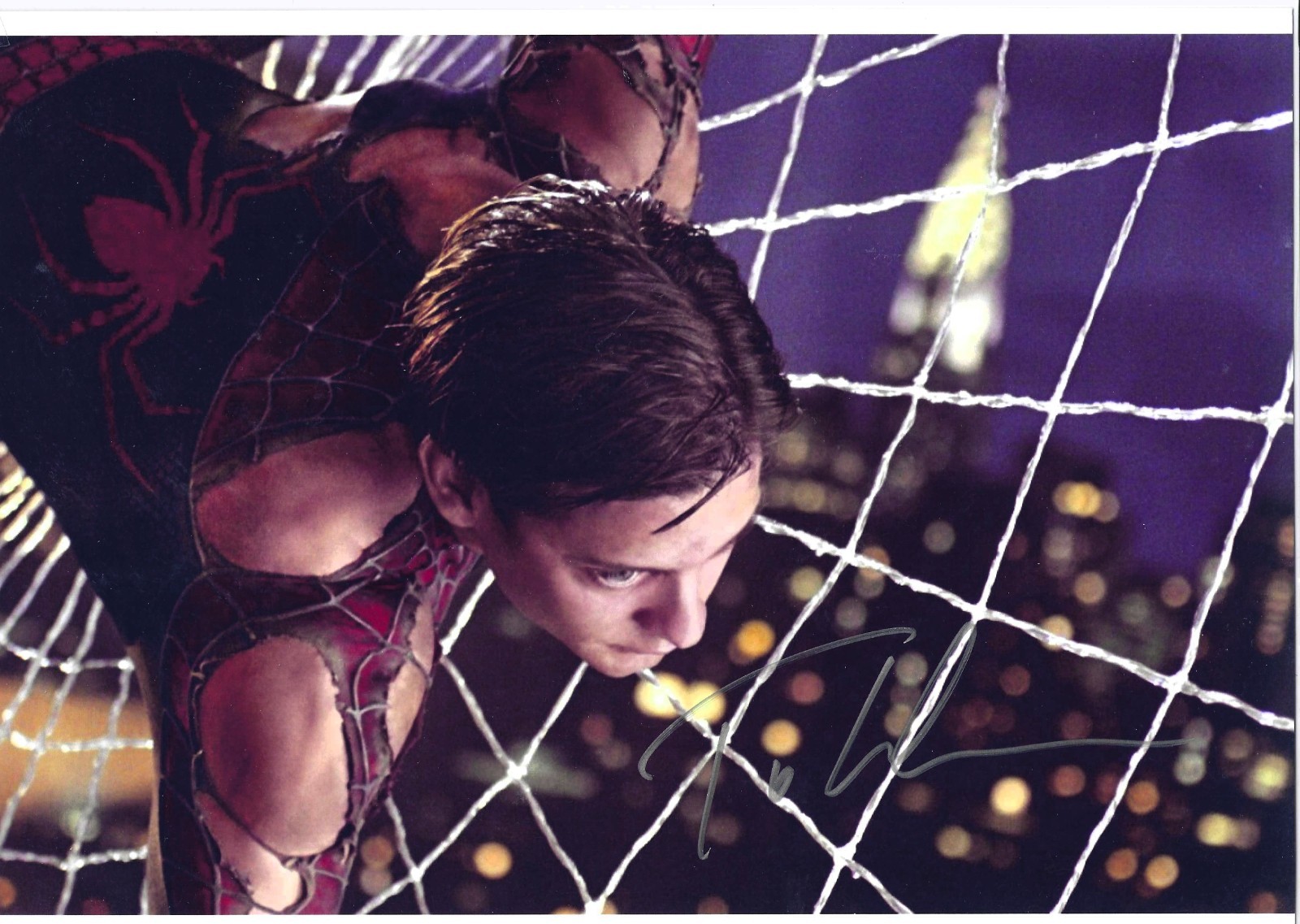 SPIDER-MAN Toby McGuire SIGNED 8×12 with COA
