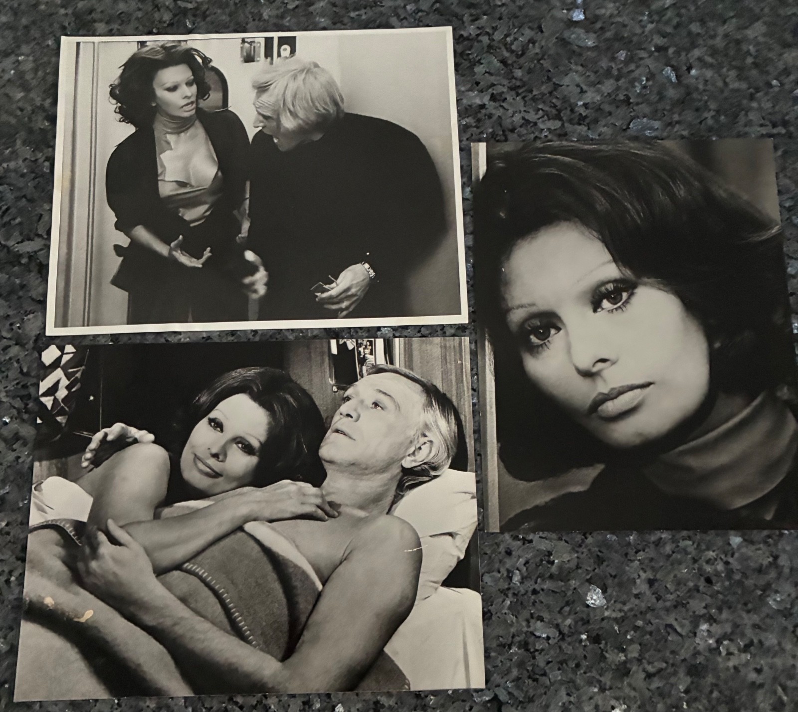 VINTAGE SOPHIA LOREN 11×14 Photo Lot (3) Oversized Movie Still Portrait Glamour