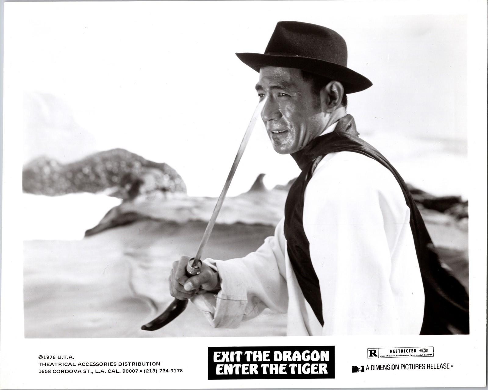1976 Exit the Dragon, Enter Tiger Bruce Li 8×10 Photo