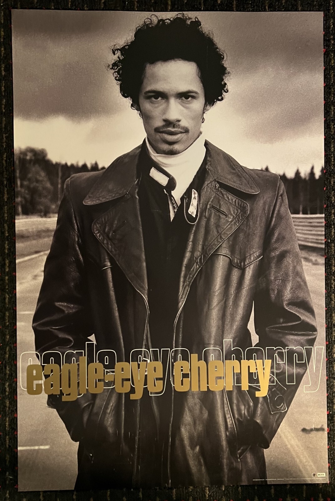 EAGLE EYE CHERRY Desireless 24×36 record store promo poster 1999