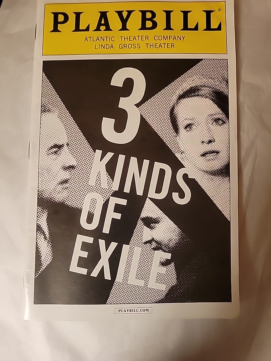 3 Kinds of Exile Playbill May 2013 John Guare Alison Cimmet Jeffrey Kuhn Maloney