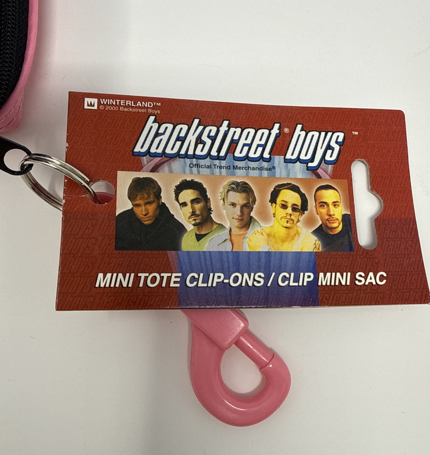 VTG Backstreet Boys Y2K Into the Millennium Mini Tote Clip Sac Keychain-Lot Of 3