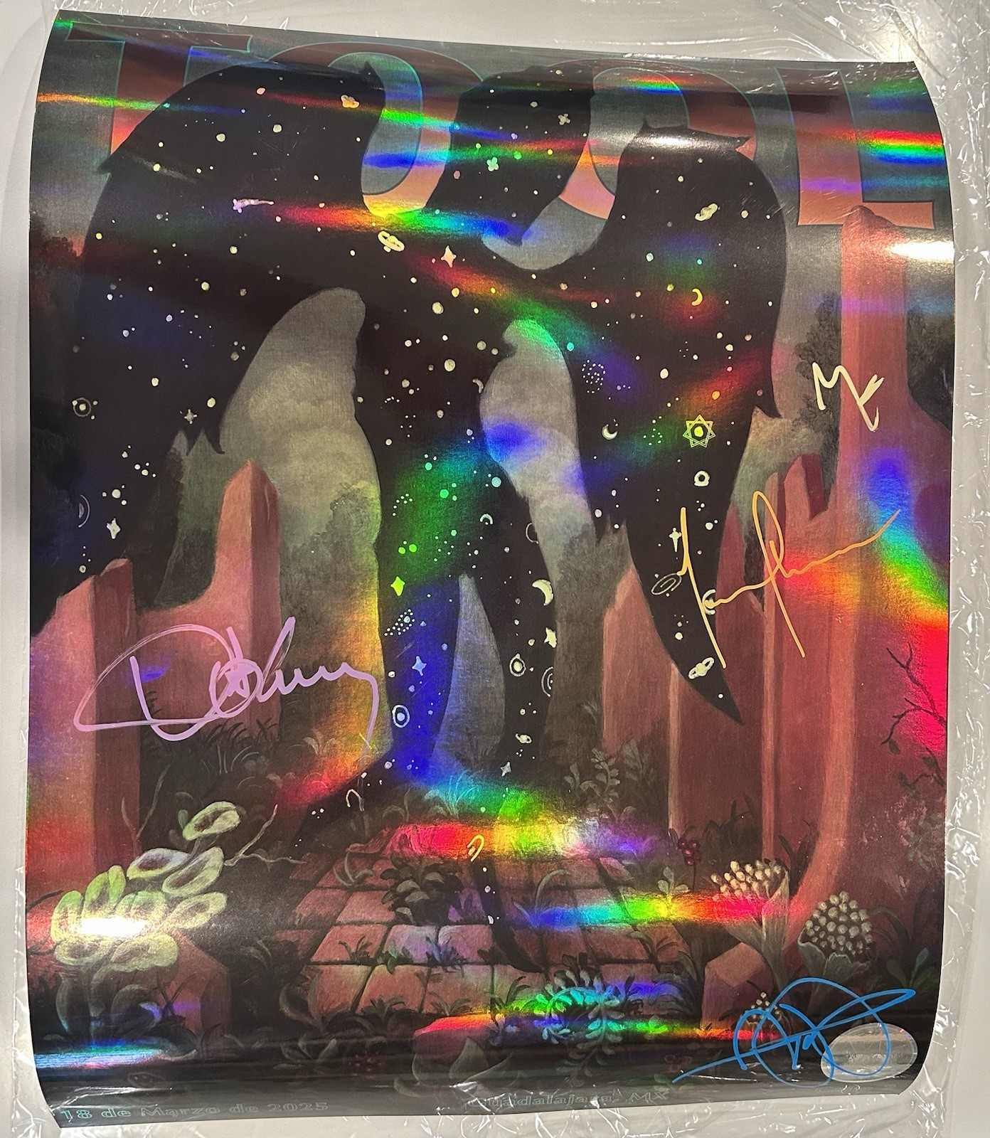 Tool Signed Poster. Guadalajara, Mexico 3/18/25
