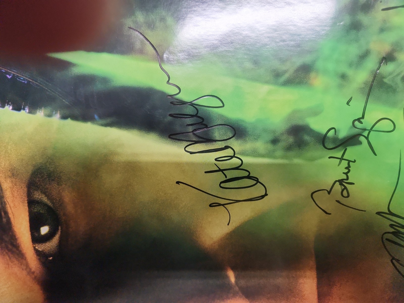 Star Trek Nemesis Orignal Poster 27×40 Mulgrew Stewart Burton Cast Signed X9