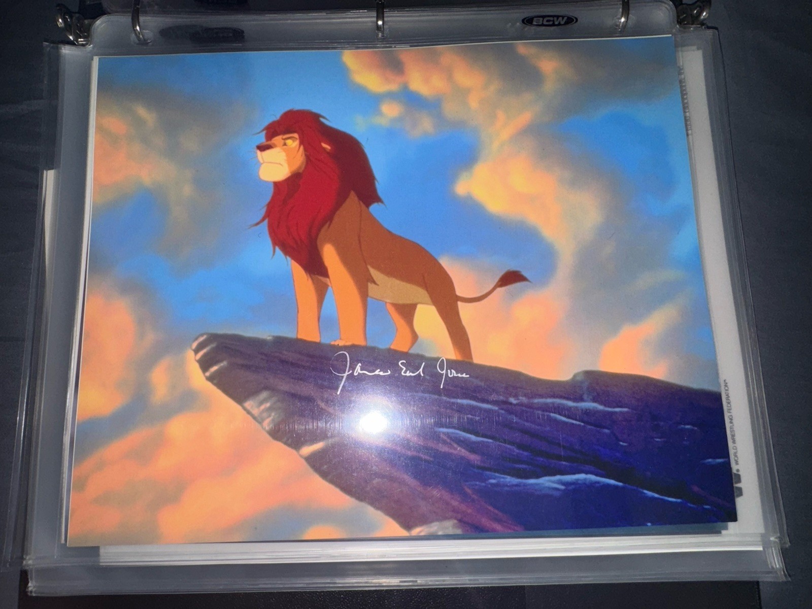 James Earl Jones Signed Autographed Color 8×10 The Lion King Autograph Auto