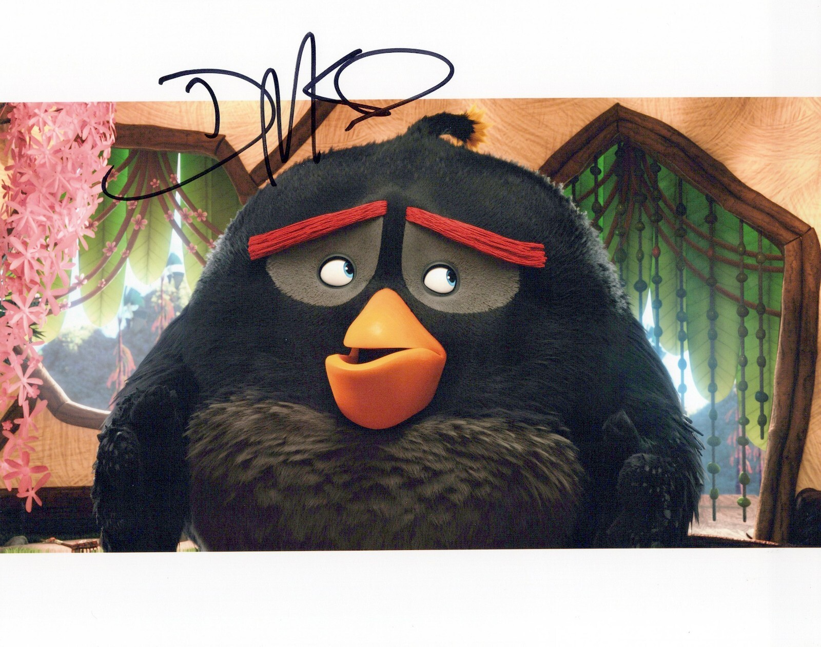 Danny McBride The Angry Birds Movie autographed photo signed 8×10 #4 Bomb