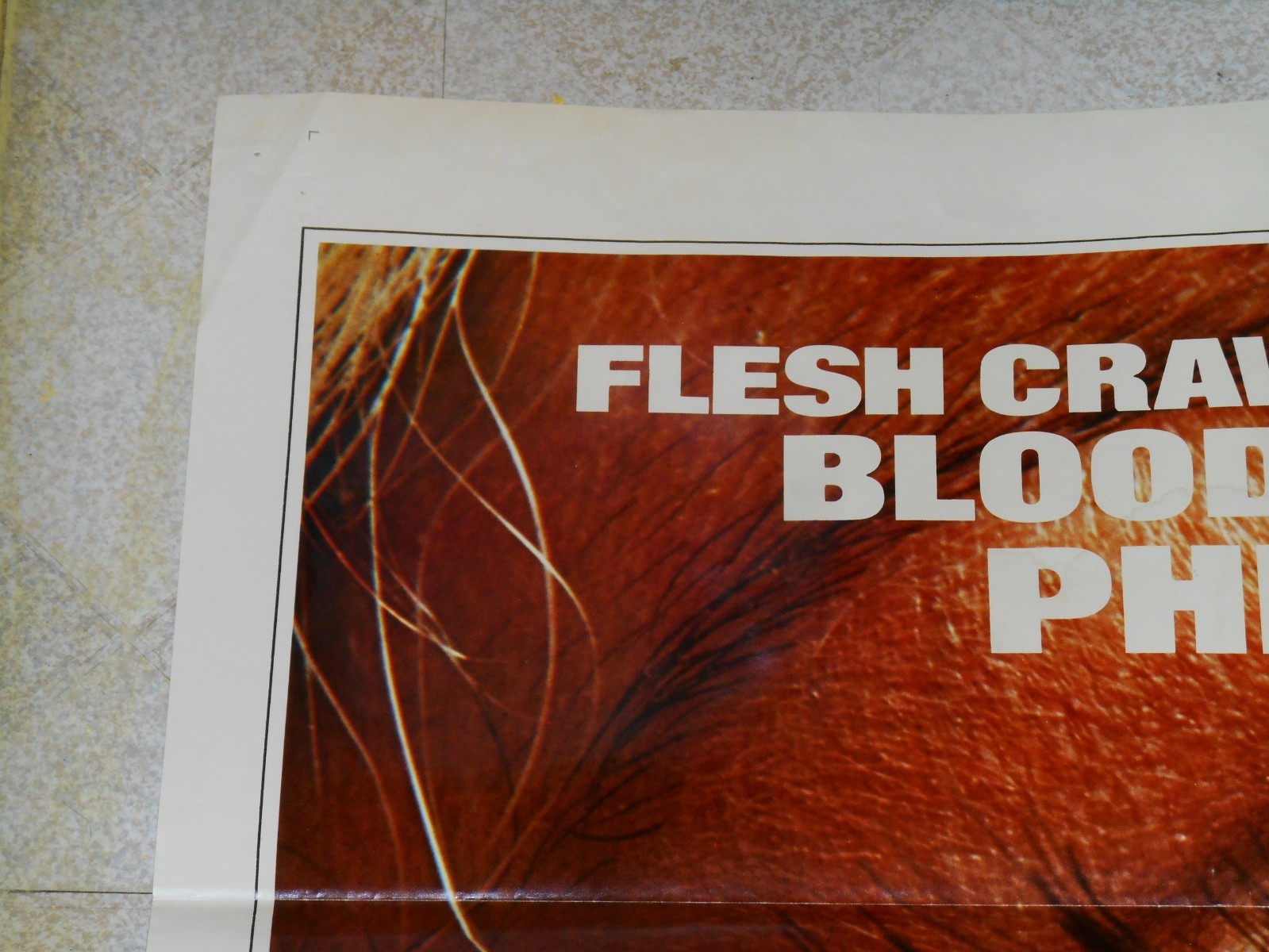 original DR. PHIBES RISES AGAIN one-sheet movie poster