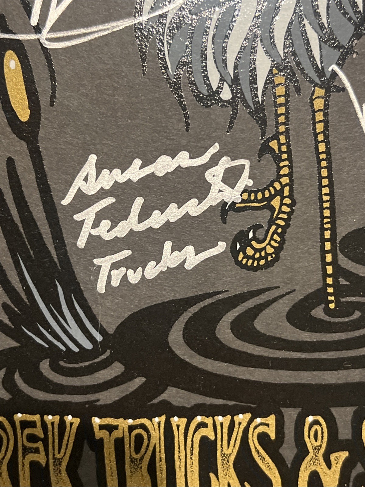 TEDESCHI TRUCKS Band Signed Autographed & Numbered 18X24 Tour Framed Poster #237