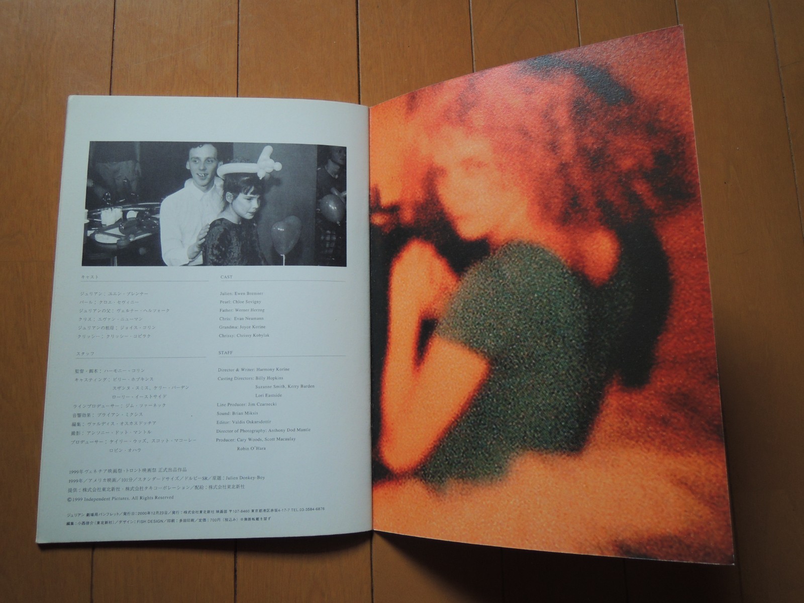 Harmony Korine JULIEN : DONKEY BOY Japanese Movie Theater Program