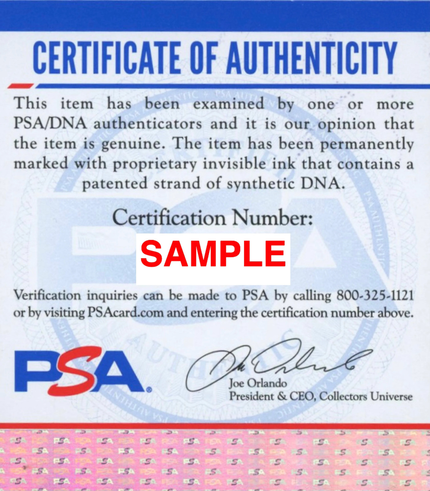 Foolio Signed Autographed 12×12 Photo “Top Conniver” PSA/DNA Authenticated