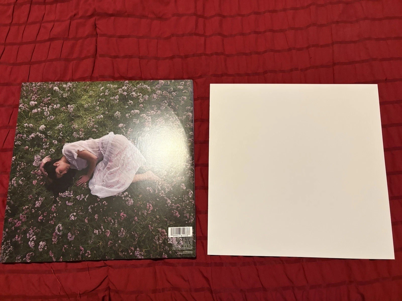 *Signed* Olivia Rodrigo You Seem Pretty Sad for a Girl So in Love Vinyl