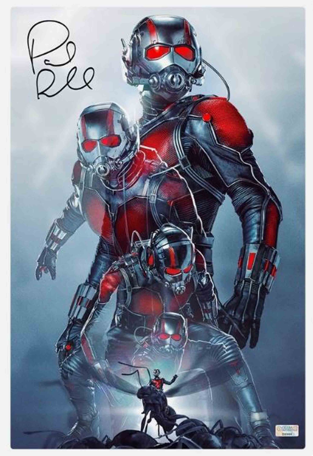 Marvel Comics Ant-Man Paul Rudd Autographed 12 x 18 CinaPanel