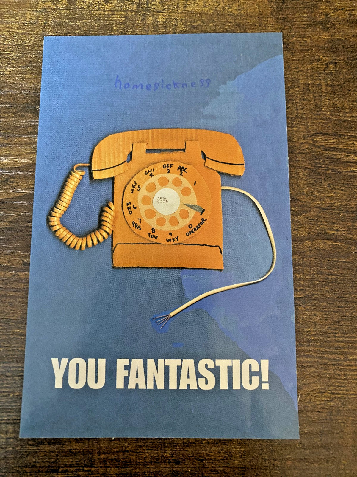YOU FANTASTIC! promo sticker postcard noise rock skin graft records