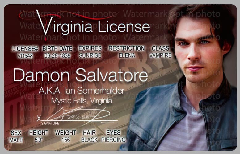 Damon Salvatore Vampire Diaries Ian Somerhalder License Card Novelty ID