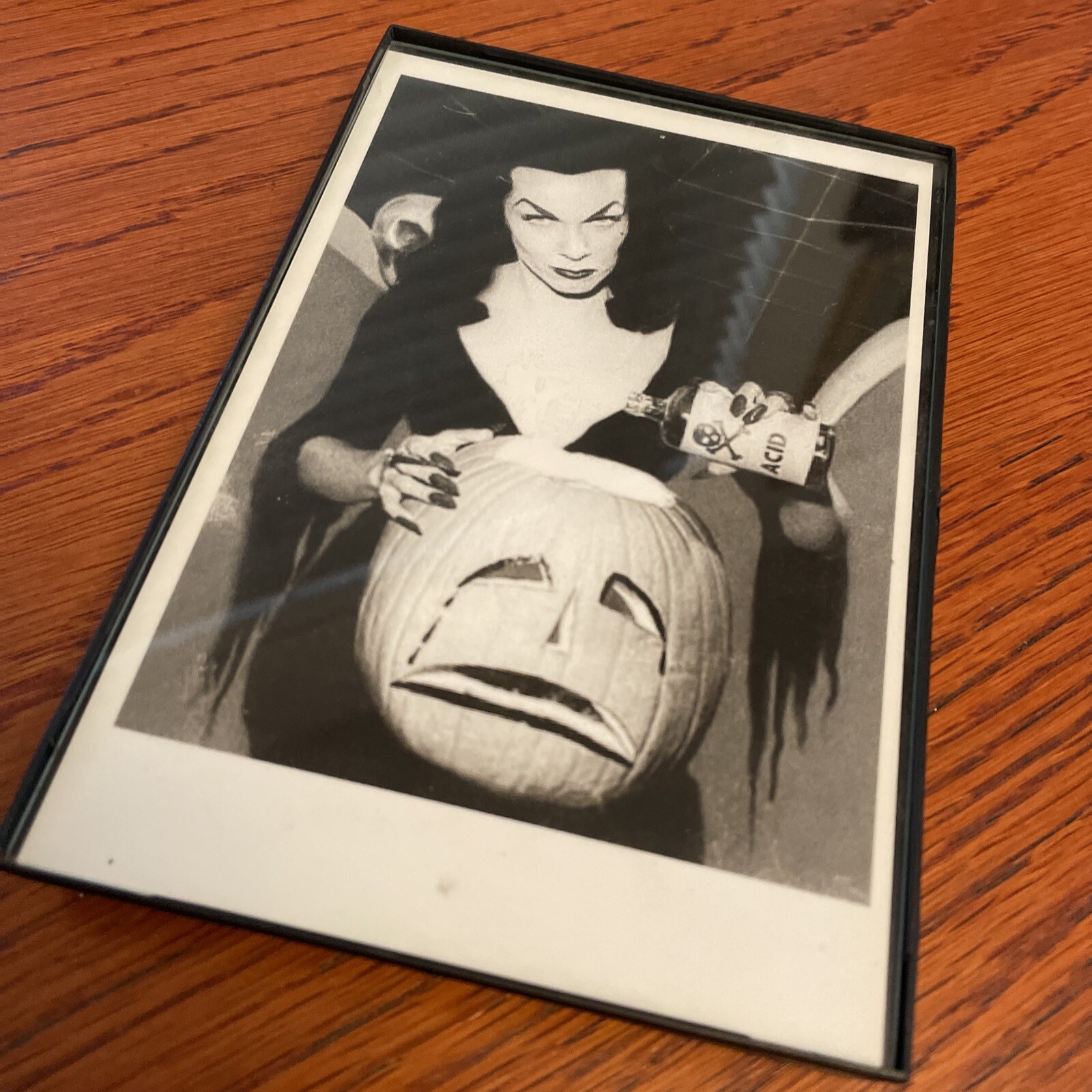 Maila Nurmi VAMPIRA w Jack-o-Lantern Photo Print 5″x7″ in BOX FRAME