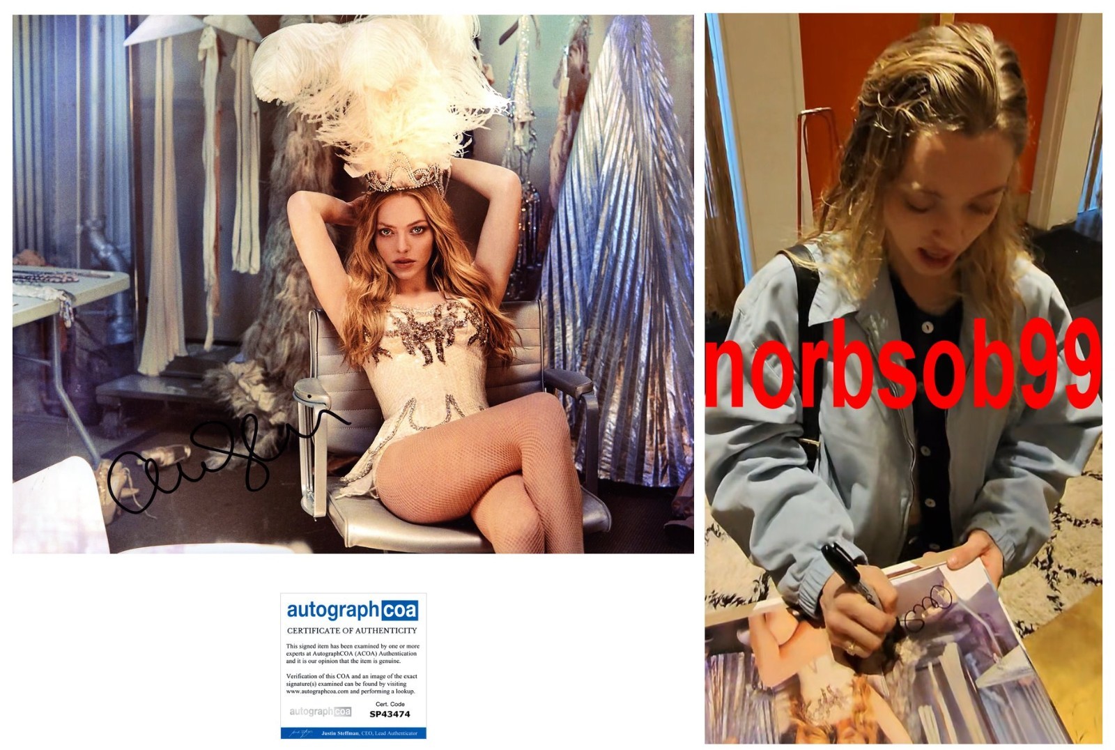 AMANDA SEYFRIED SIGNED THE HOUSEMAID 11×14 PHOTO D w/EXACT PROOF & AUTOGRAPH COA