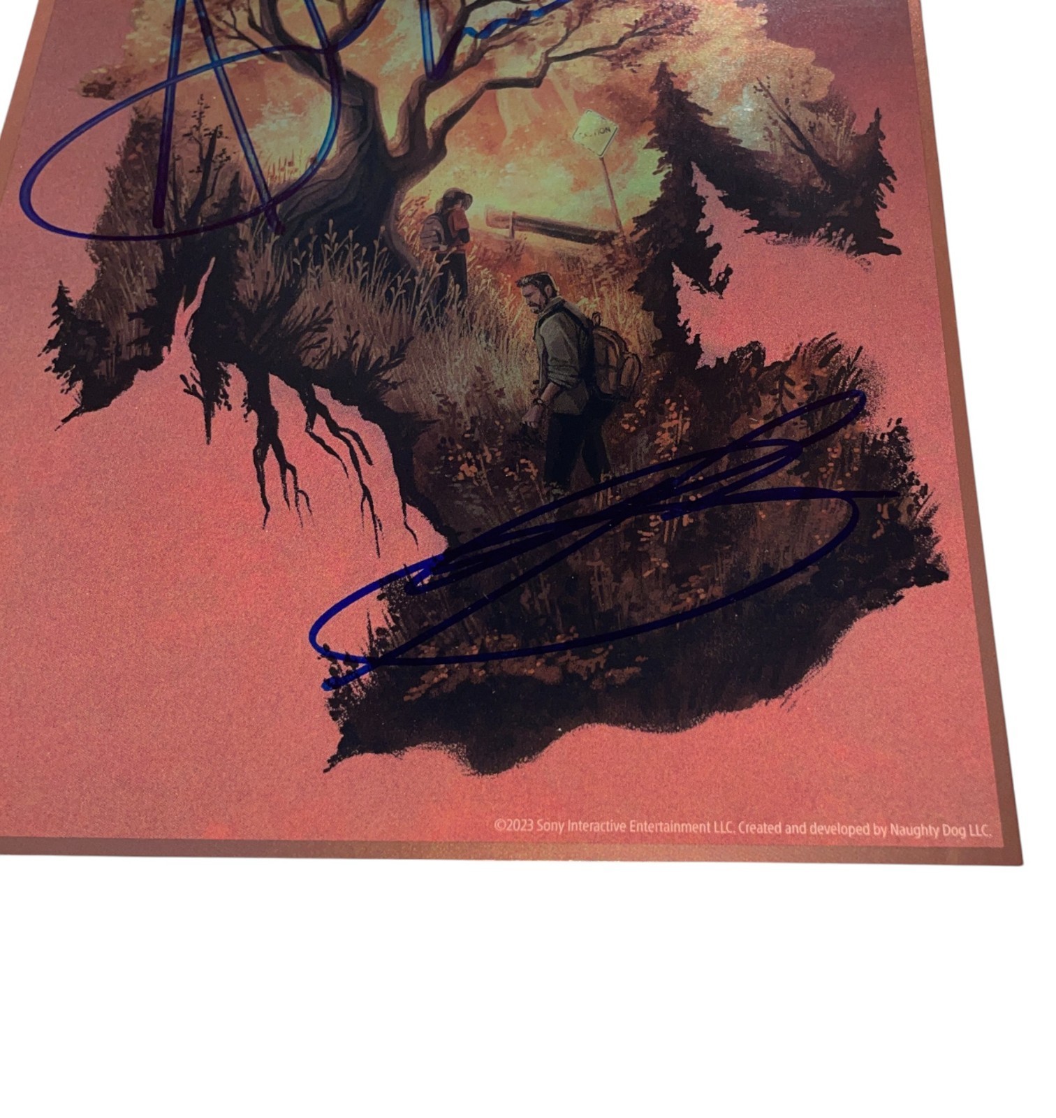 Ashley Johnson & Troy Baker Signed Lithograph Last of Us Autograph JSA COA