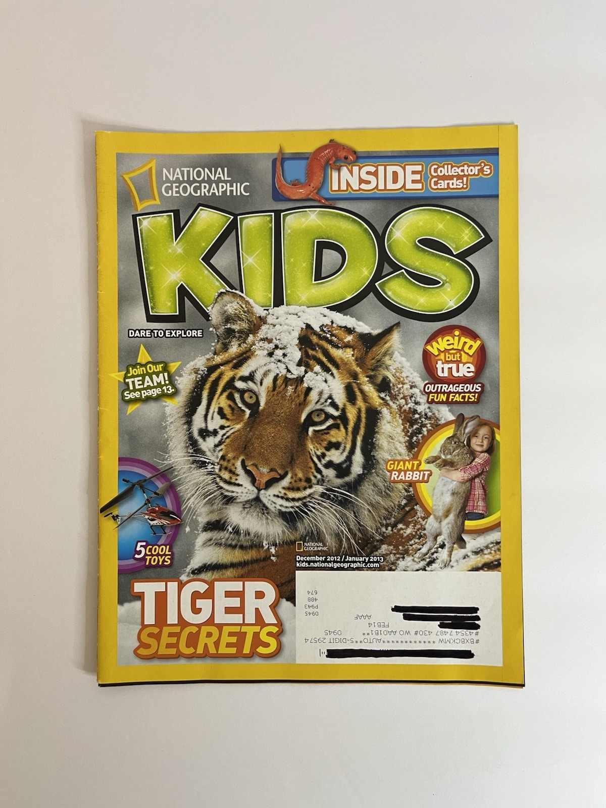 Nintendo Magazine Advertisements Pokemon Animal Crossing Donkey Kong Mario Mii