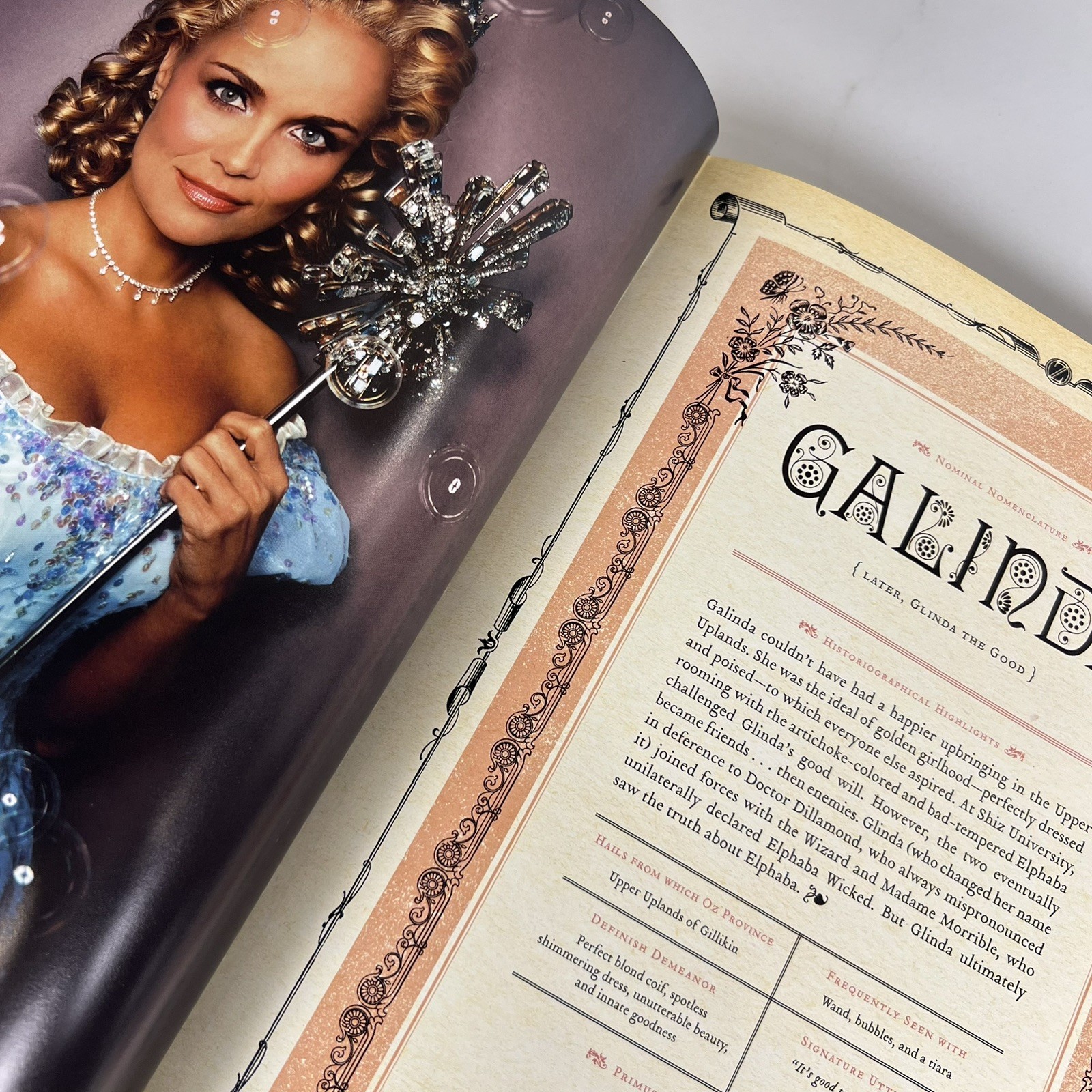 Wicked The Grimmerie Book Behind The Scenes Broadway Musical Witchycore Gift