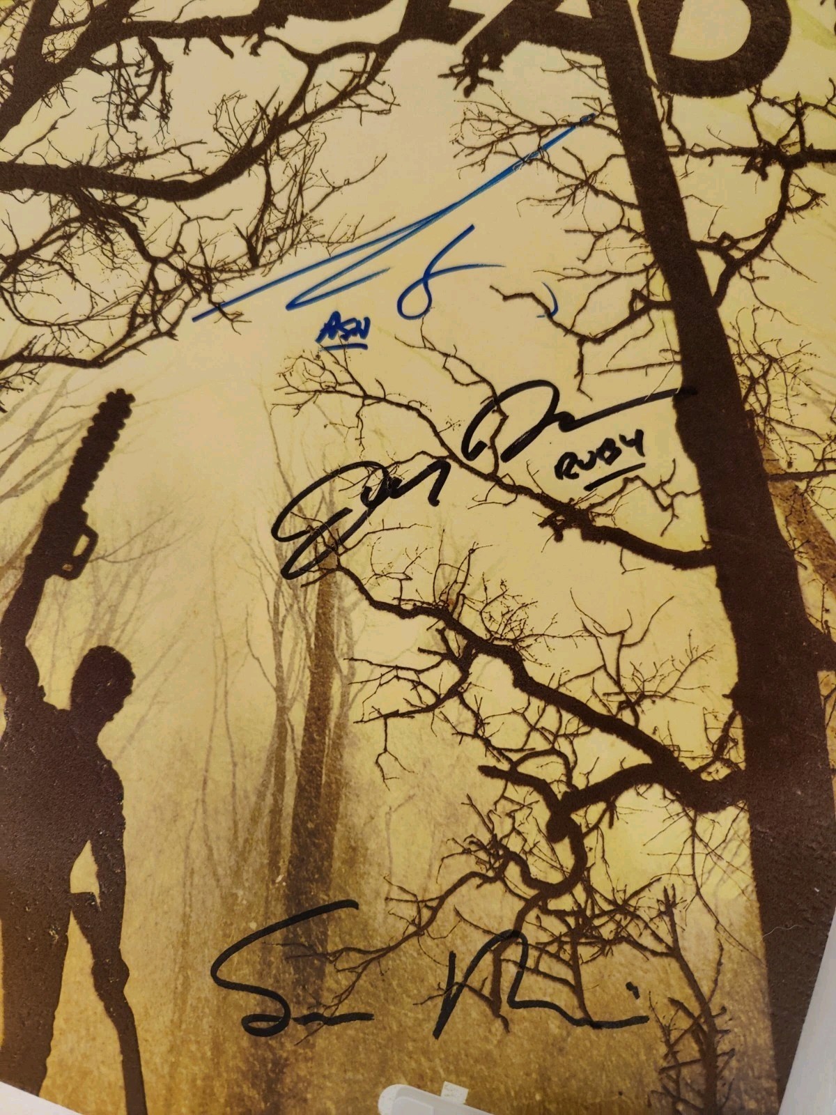 Ash vs Evil Dead Fuzzy Poster Signed Bruce Campbell Sam Raimi Lucy Lawless 18×24