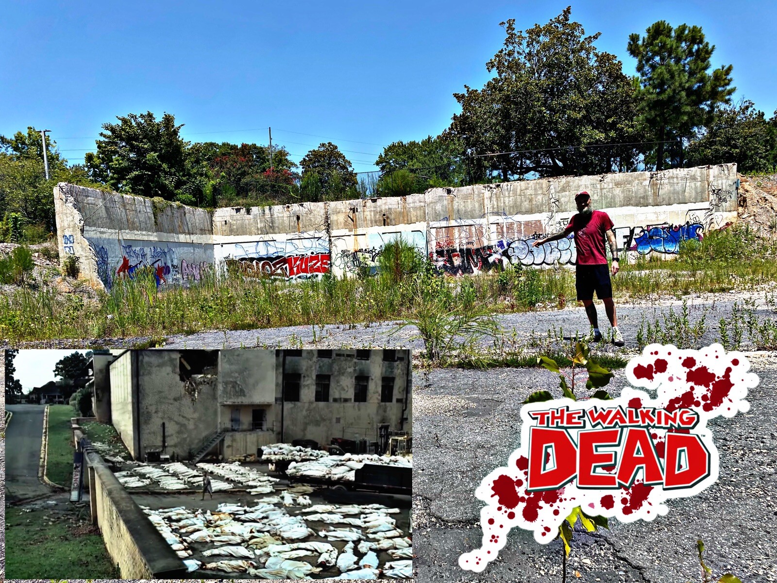 The Walking Dead Hospital Brick Display with COA (Hospital Demolished)￼