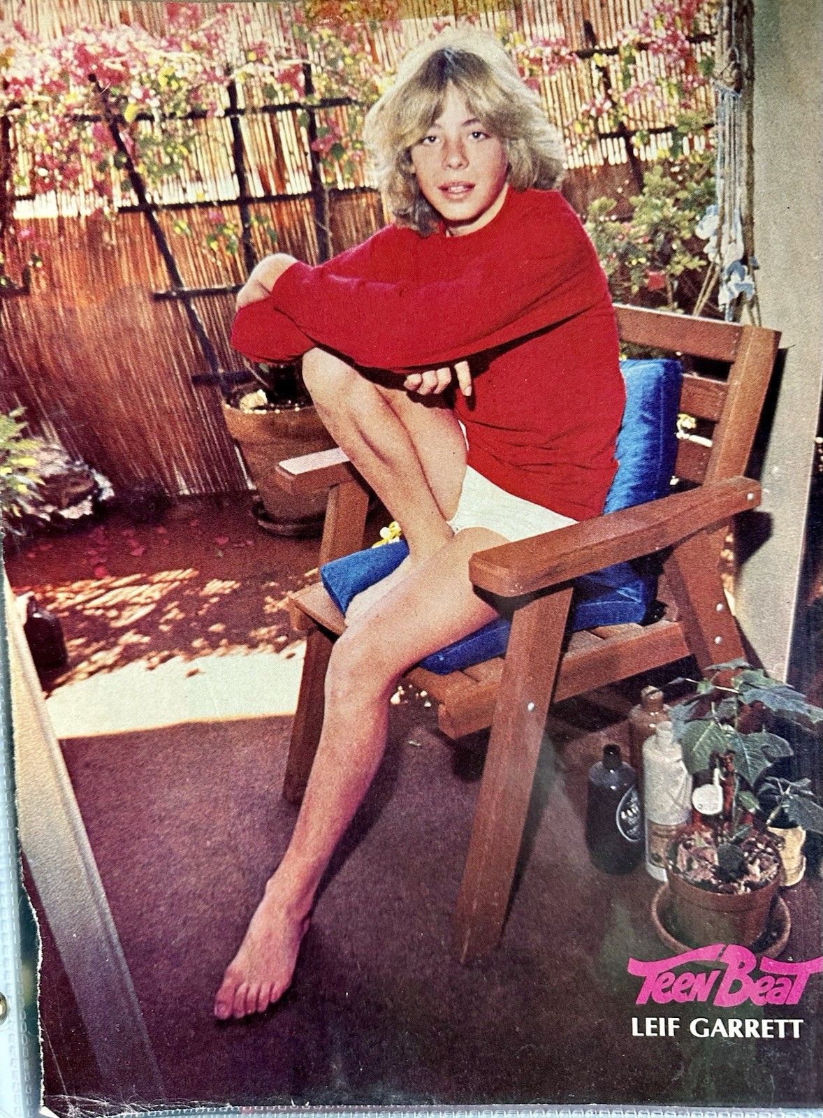 Leif Garrett 1 Page Pinup Poster Vintage 1976 Young In Tiny Shorts