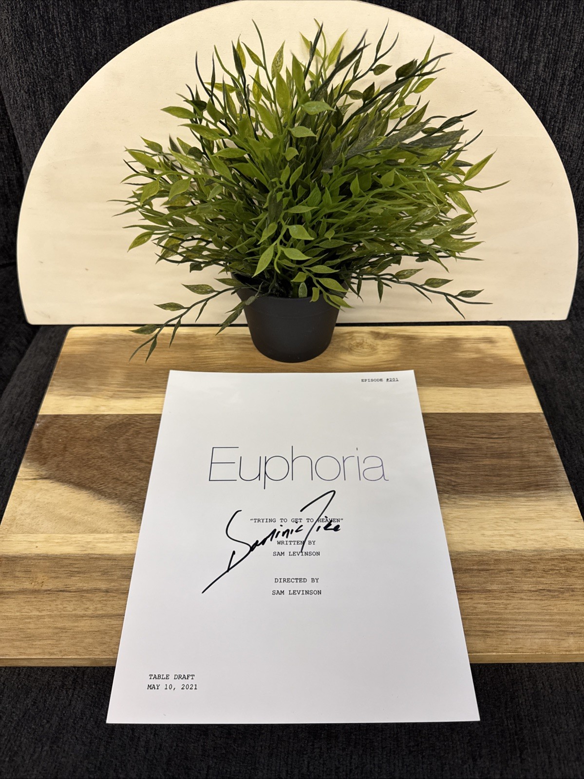 DOMINIC FIKE SIGNED “EUPHORIA” 8×10 SCRIPT COVER AUTOGRAPHED w/COA Matching Holo