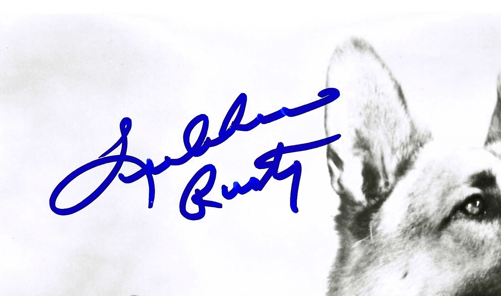 RIN TIN TIN Lee Aaker “Rusty” Signed 8×10 … with UACC COA