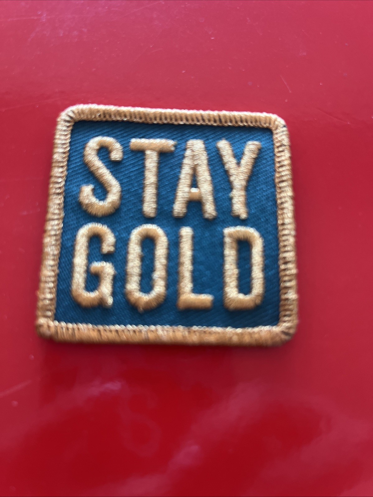 Outsiders First Preview Stay Gold Patch, Celebrating 2 Years On Broadway In Apr