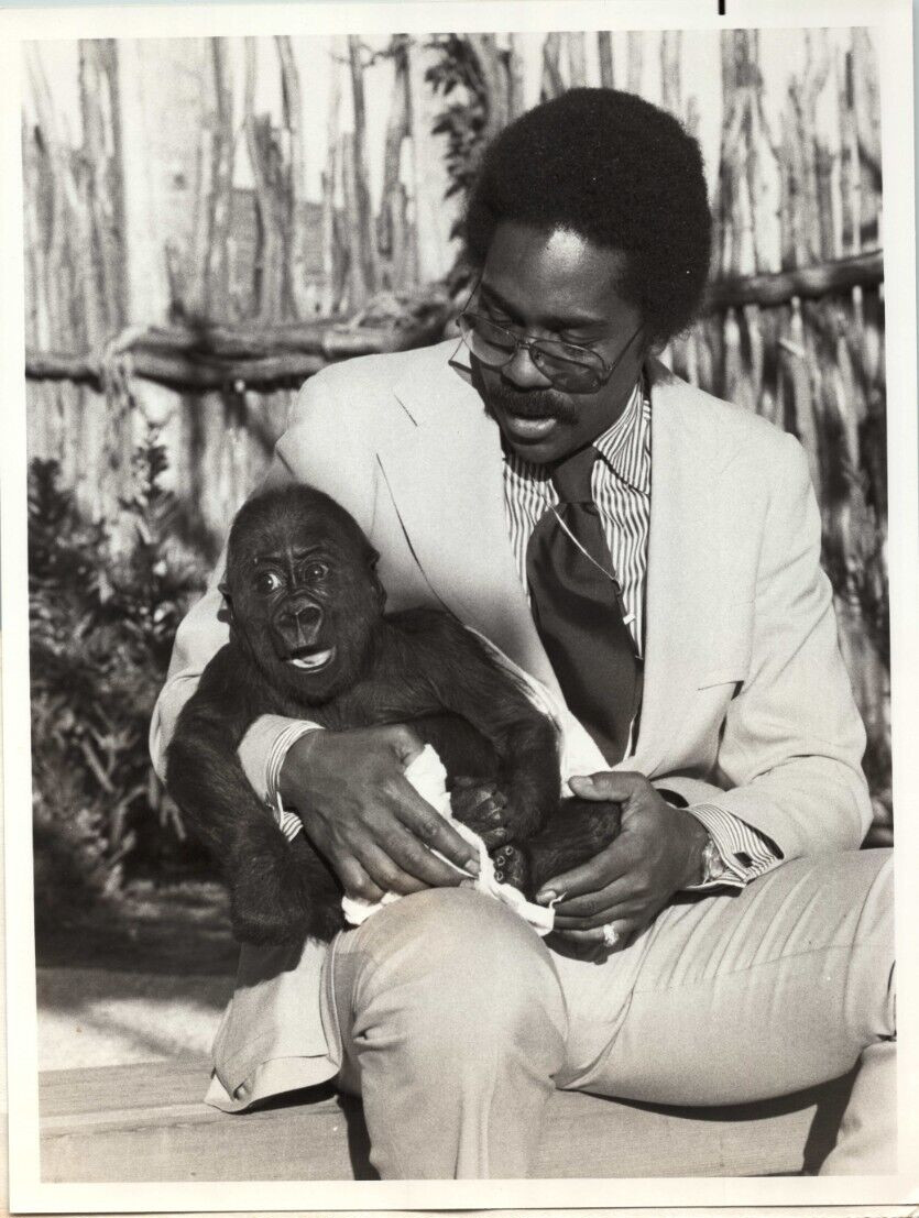 Demond Wilson Sanford & Son San Diego Zoo Baby Gorilla 1974 NBC 9″x7 Press Photo