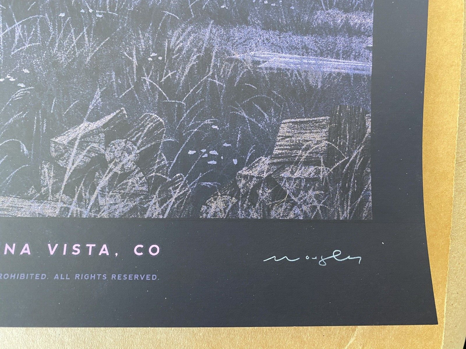 RAINBOW FOIL BILLY STRINGS POSTER Renewal Buena Vista CO N1 2024 AP Signed LTD25