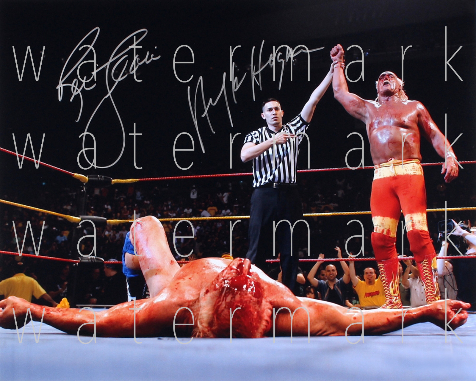 Hulk Hogan & Ric Flair signed 8×10 inch photo picture poster autograph RP