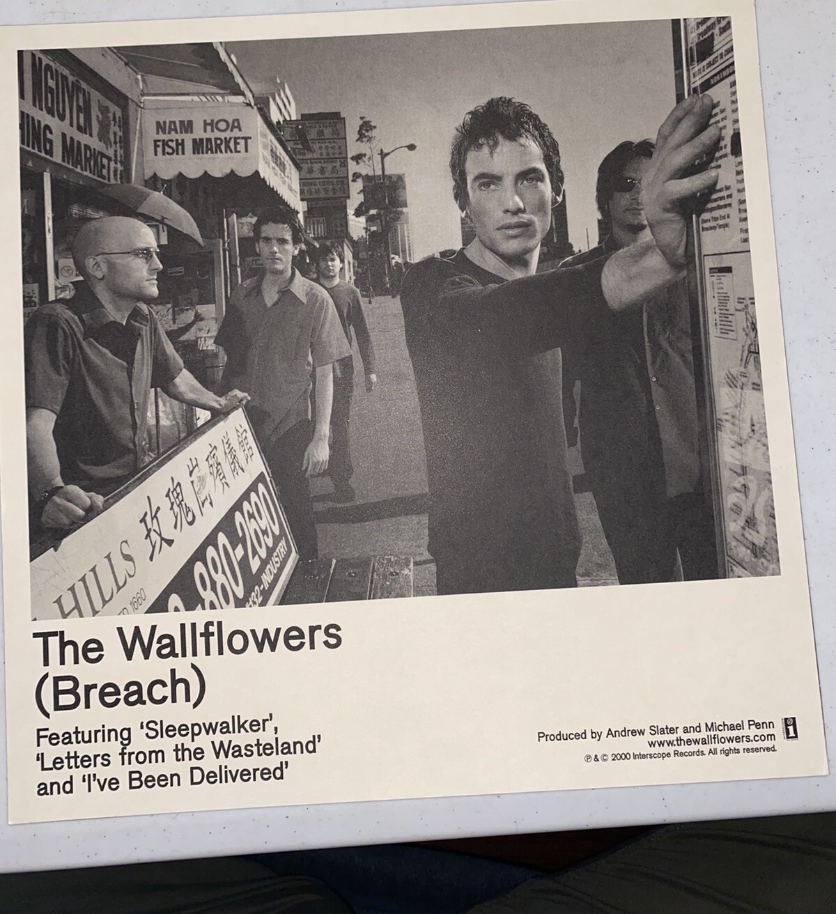Jakob Dylan WALLFLOWERS DOUBLE SIDED PROMO POSTER FLAT Breach 12×12”