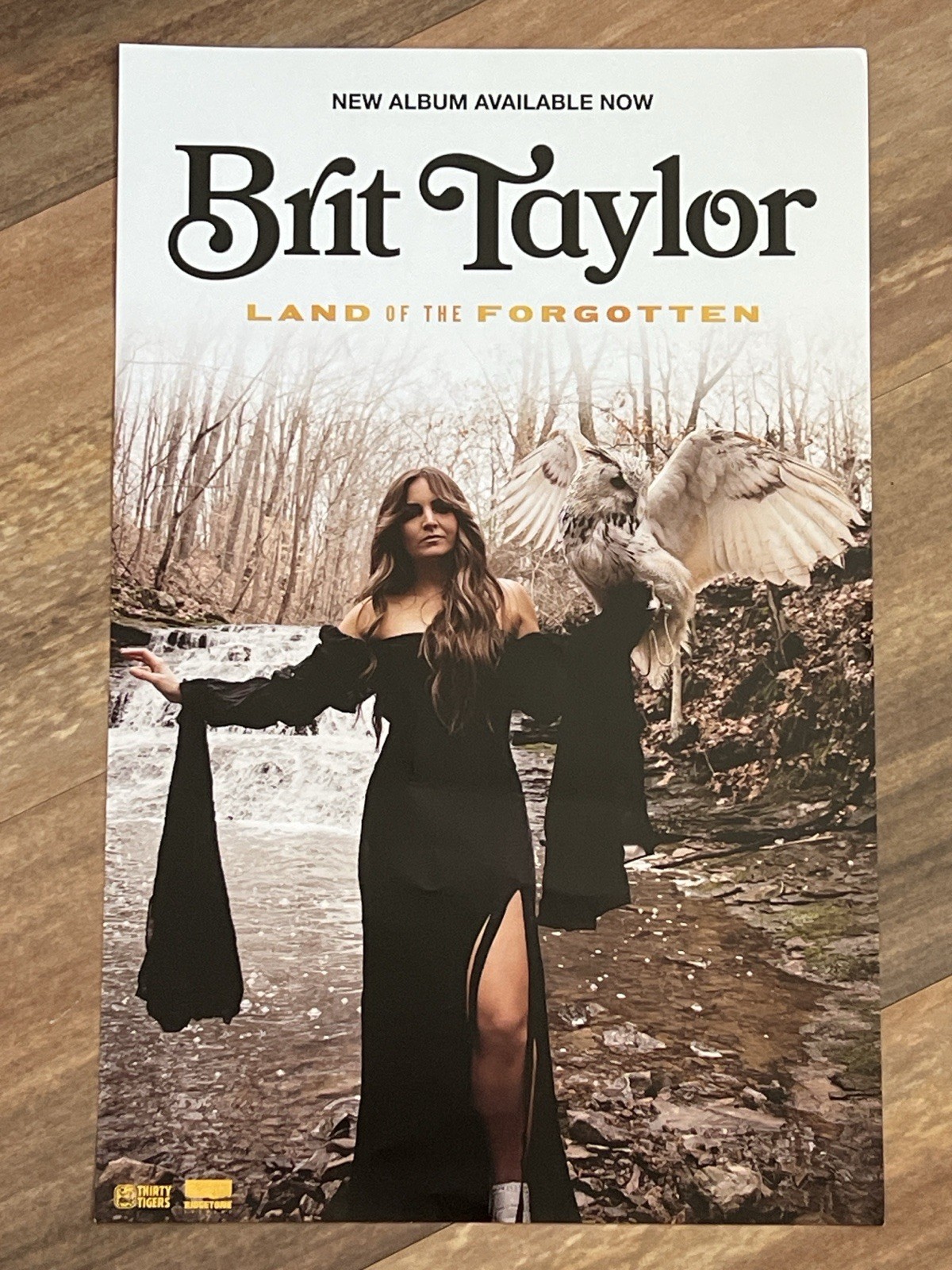 BRIT TAYLOR “LAND OF THE FORGOTTEN ” U.S. PROMO POSTER – Alt Country Music