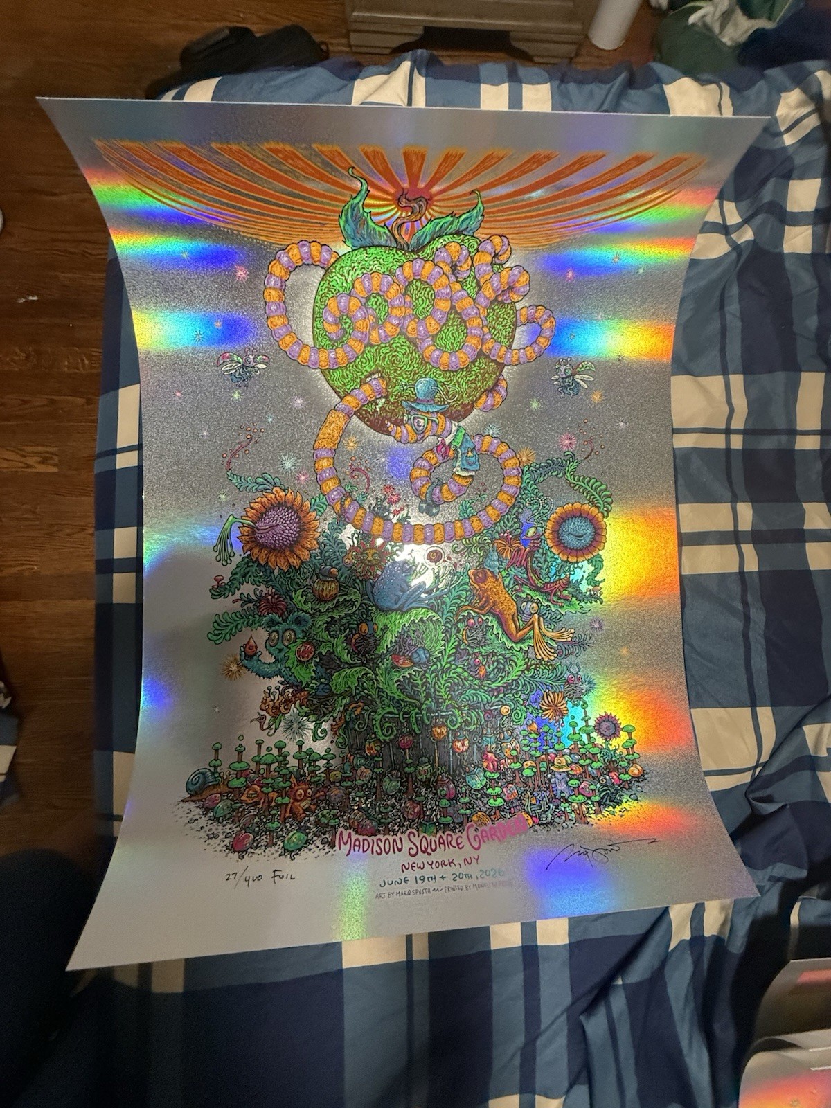 🍎Goose FOIL Poster MSG 2026 Marq Spusta /600 Madison Square Garden 6/18-19.26