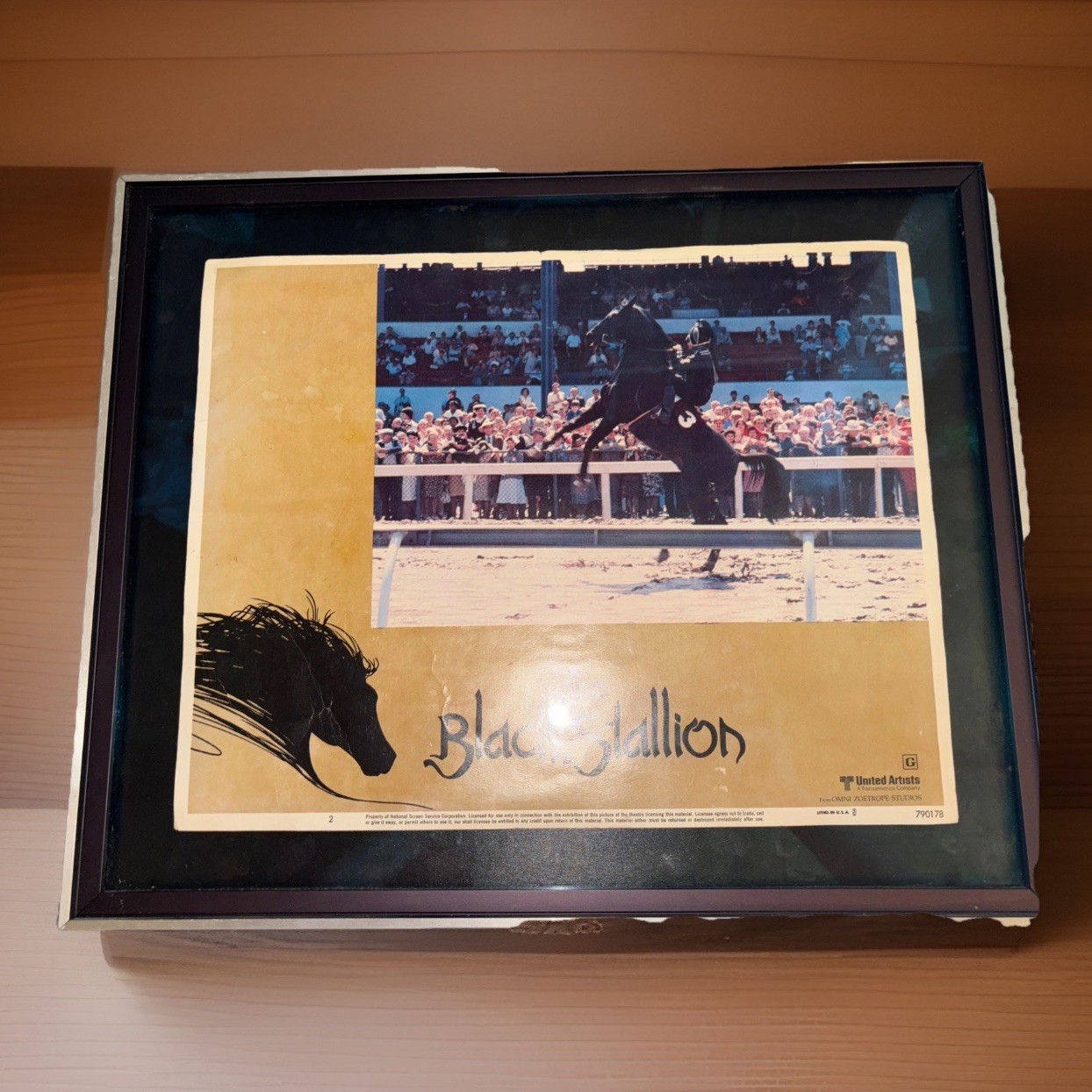 Framed Museum Glass movie poster for The Black Stallion 1979